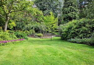 Optimiser l'expérience du jardin à La Caillère-Saint-Hilaire
